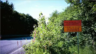 small_9907 alaska1img008.webp